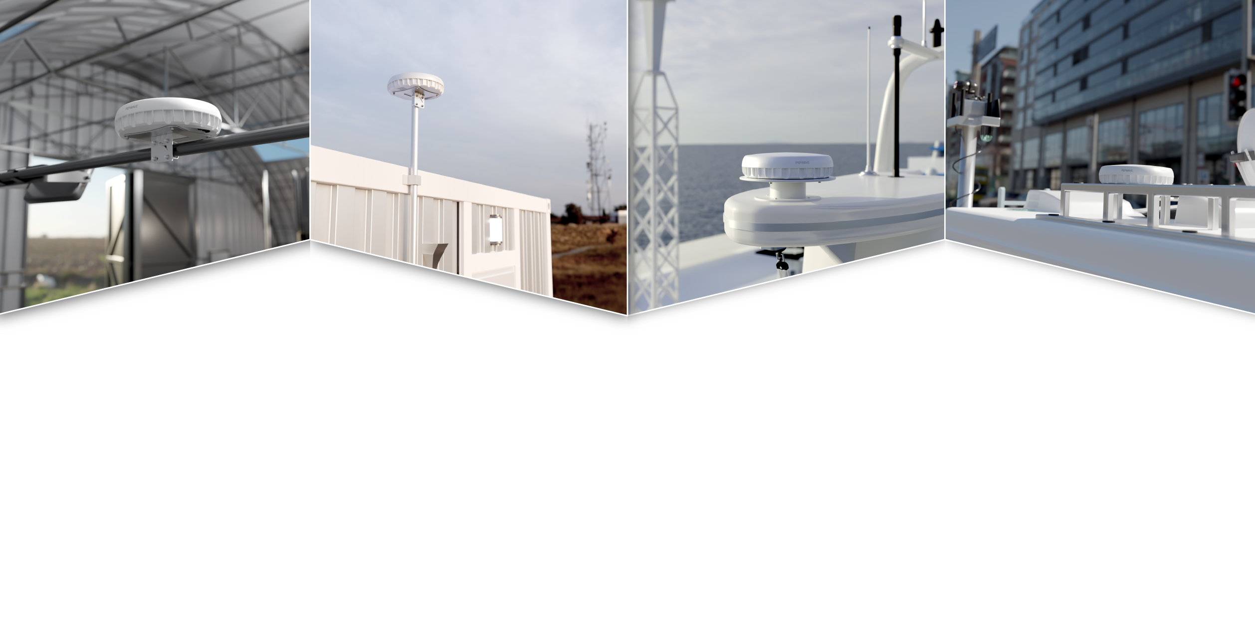 Peplink Antenna Max Duo