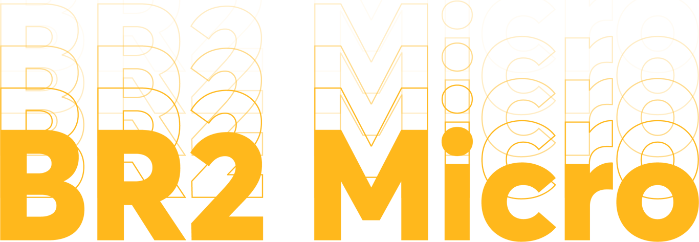BR2 Micro