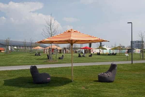 Entspannung auf der wilden Wiese
