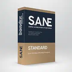Embalaje de software estándar SANE